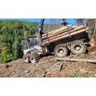 Logset 5FGT forwarder 13/53